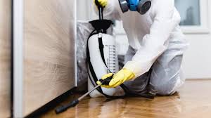 Best Indoor Pest Control  in Sorrento, LA